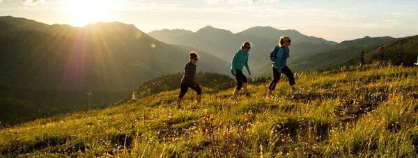 Mtn Active